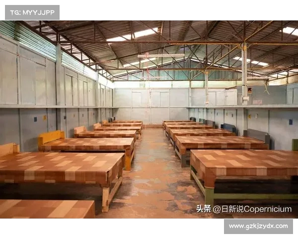 缅中边贸几乎停滞,边境大米商如何通过海运打破困局?(中缅边贸批发市场) 缅中边贸几乎停滞,边境大米商如何通过海运打破困局?(中缅边贸批发市场)